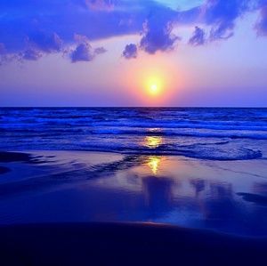 Meet your Posher, Izzabelle